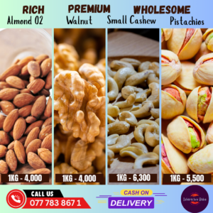 seilama digital marketing