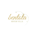 Home seilama digital marketing