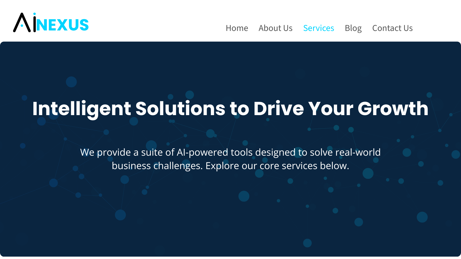 business portfolio