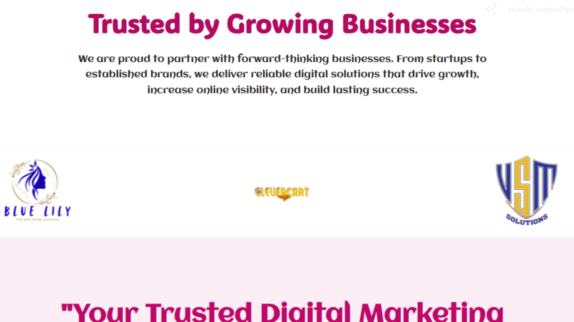 WEBsite portforlio